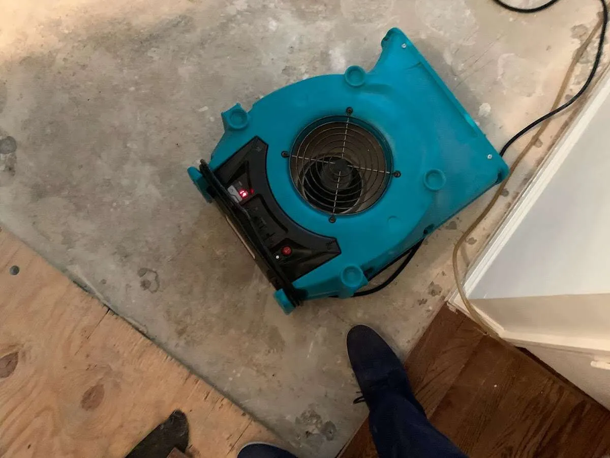 Air mover drying subfloor during Leak Detection & Repair in Bergenfield